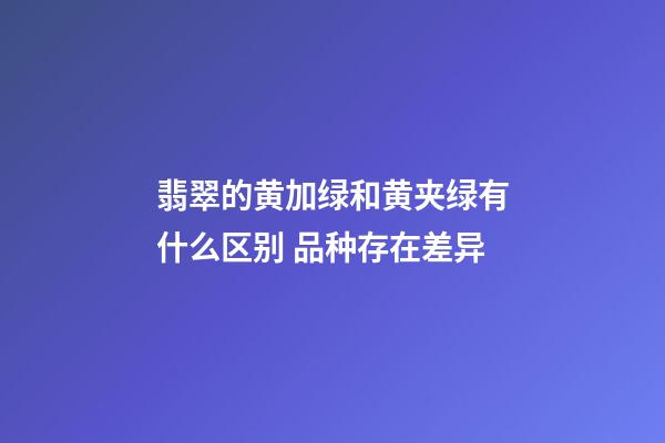 翡翠的黄加绿和黄夹绿有什么区别 品种存在差异